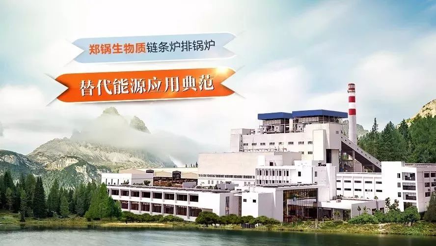 金百博领衔编制行业技术标准，，，，，，首次统一生物质链条炉排锅炉技术条件！