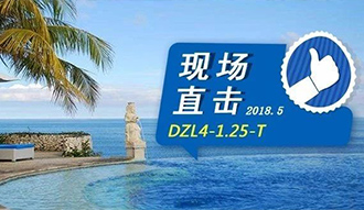 现场直击丨看生物质锅炉在巴厘岛如何强操作，，，，，，回头客非它不选